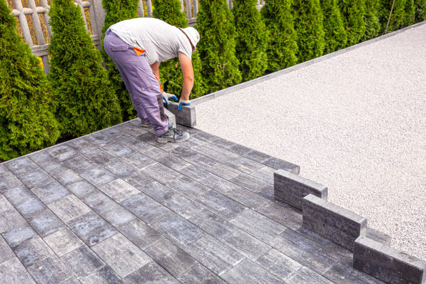 Best Custom Driveway Pavers  in Dania Beach, FL